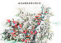 地图导览